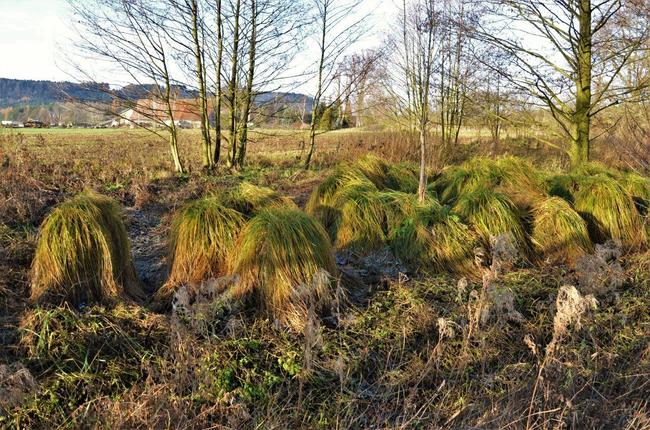 Víte, jaké neobyčejné zajímavosti můžete najít v Geoparku Broumovsko?