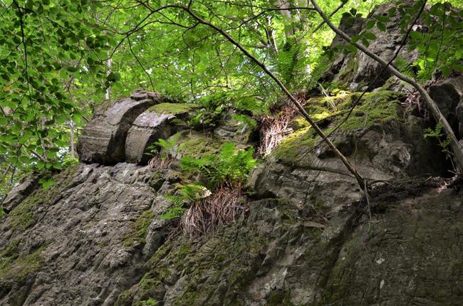Víte, jaké neobyčejné zajímavosti můžete najít v Geoparku Broumovsko?