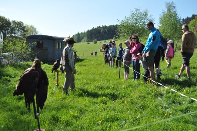 Jestřebí kros poběží špunti i veteráni