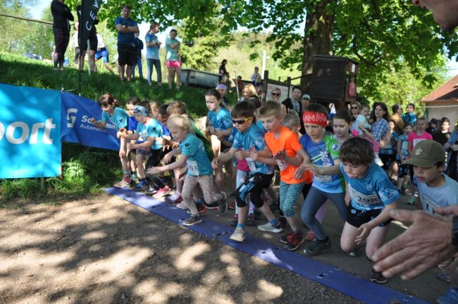 Jestřebí kros poběží špunti i veteráni