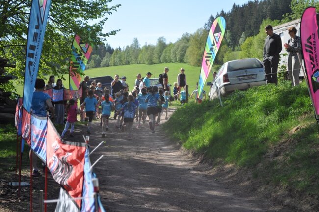 Jestřebí kros poběží špunti i veteráni