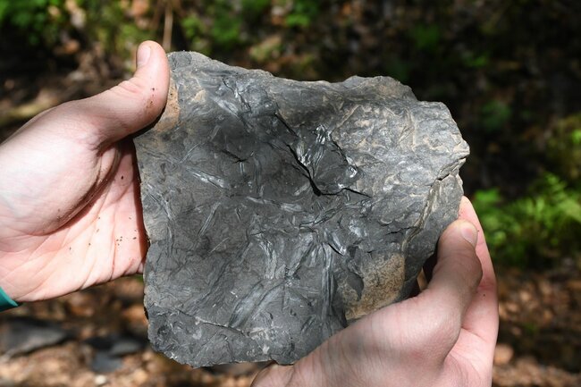 Za uhlím a zkamenělinami krajinou Hronovska