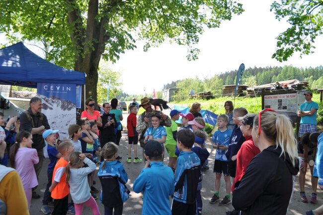 Jestřebí kros poběží špunti i veteráni