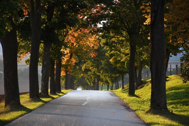 Dny evropského dědictví na Broumovsku