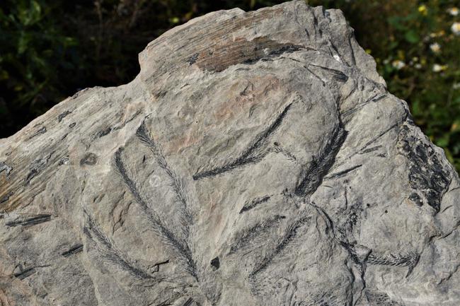 Víte, jaké neobyčejné zajímavosti můžete najít v Geoparku Broumovsko?