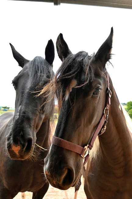 Ježíšek z Broumovska 