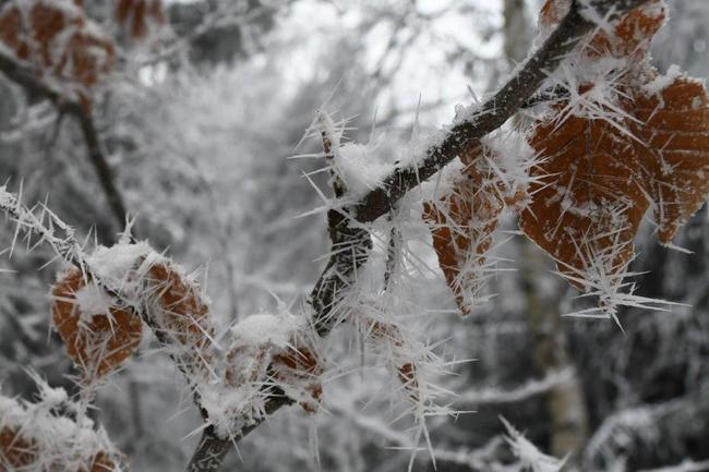 Pojďte s námi objevovat ledová tajemství ve skalách