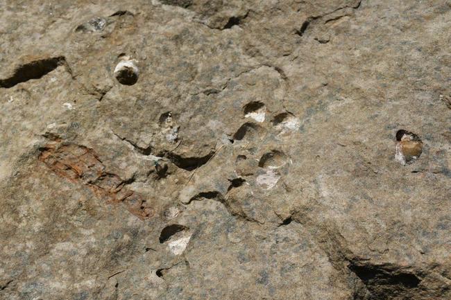 Talentované děti z Badatelské Akademie DATEL poznávaly Broumovsko