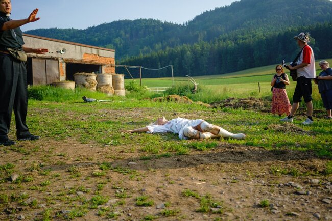 Slunce, seno, Pavlišov provede diváky krajinou plnou obrazů