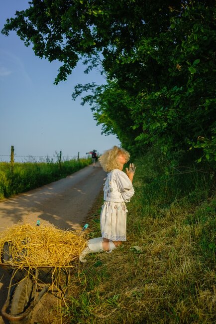Slunce, seno, Pavlišov provede diváky krajinou plnou obrazů
