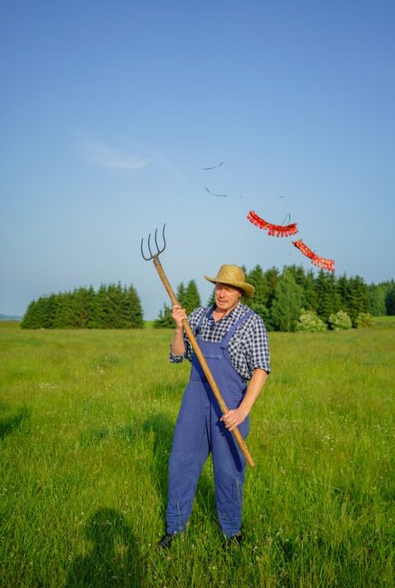 Slunce, seno, Pavlišov provede diváky krajinou plnou obrazů
