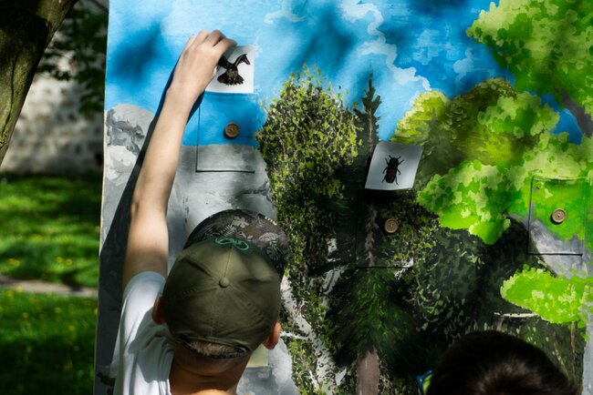 Osvěta pro Broumovsko