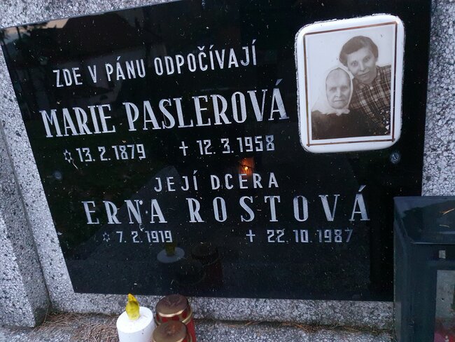 Postarat se o kamennou kroniku. Staré německé hroby mají šanci na záchranu