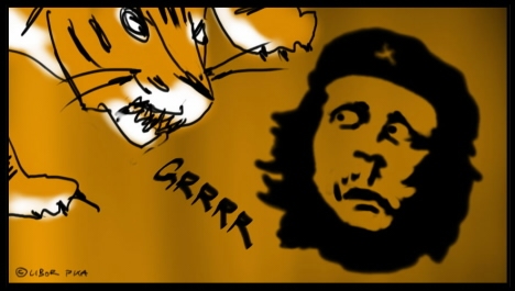 Film bývalé studentky broumovského gymnázia byl nominován na Oscara 