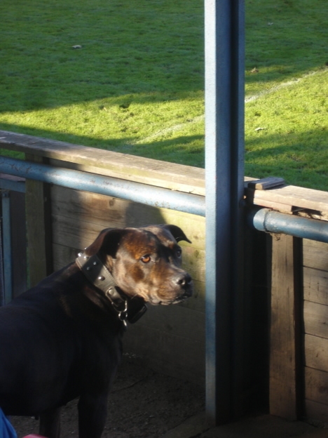 Slovan Broumov - Olympie Hradec Králové 2 : 4 (1:2)