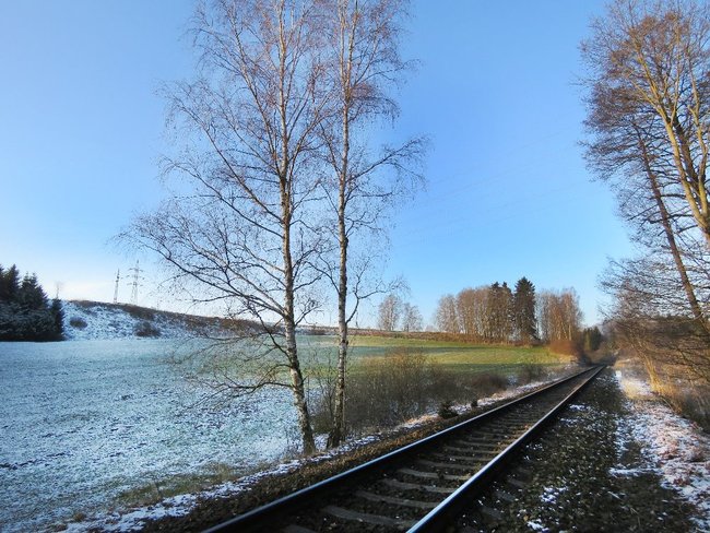 Rozsáhlé kácení kolem železnice v CHKO Broumovsko se podařilo alespoň zčásti omezit 
