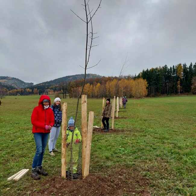 Spolek Julinka s dobrovolníky vysázel v kraji více než 2000 stromů 