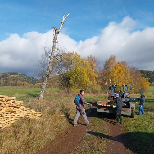 Spolek Julinka s dobrovolníky vysázel v kraji více než 2000 stromů