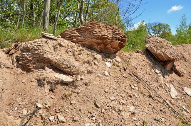 Geoparkem Broumovsko za zapomenutou historií 