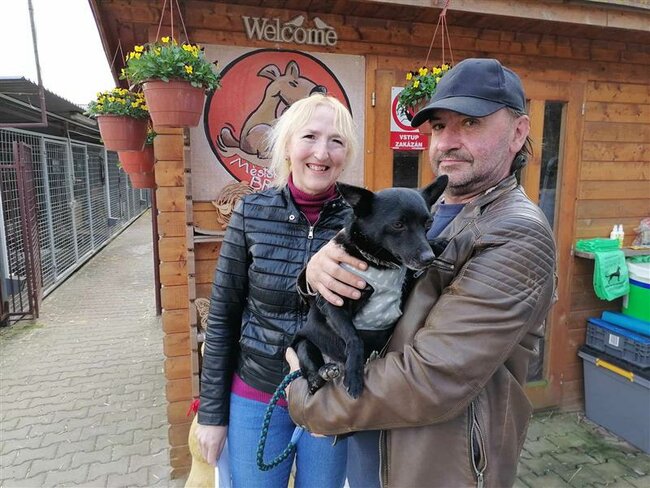 Zvířecí adopce zahřejí u srdce