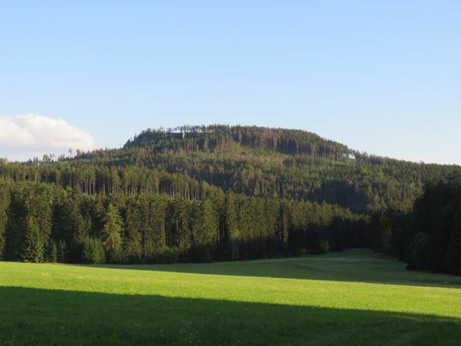 Pro těžbu kůrovcem napadených stromů na Ostaši jsou stanoveny přísné podmínky 