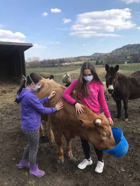 Lucie Bošinová: "V nouzi poznáš přítele! Jsem moc šťastná, že je všude kolem tolik hodných a rozumných lidí." 