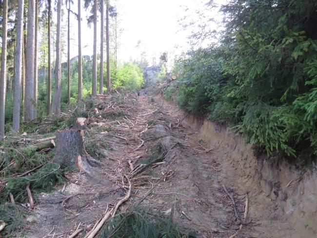 Pro těžbu kůrovcem napadených stromů na Ostaši jsou stanoveny přísné podmínky 