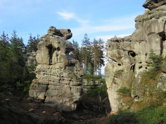 Pro těžbu kůrovcem napadených stromů na Ostaši jsou stanoveny přísné podmínky 