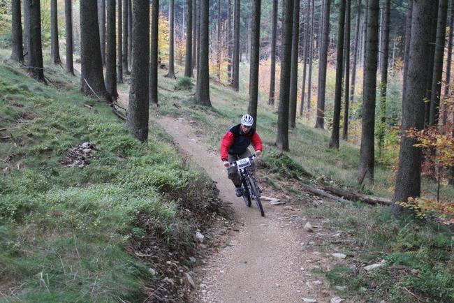 SDMB pokračuje v přípravě Singltreku Javoří hory