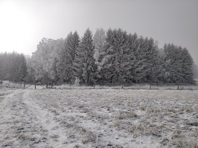 Bob Carr: Pokud jde o globální oteplování, jsme v tom všichni společně