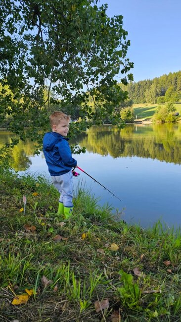 Chtěl jsem trochu pomoci