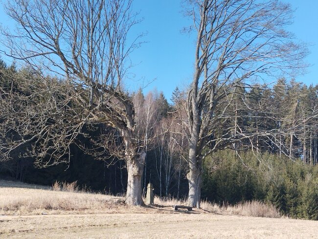 Od kříže k menhirům
