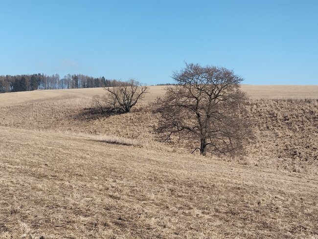 Od kříže k menhirům