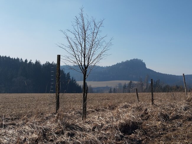 Od kříže k menhirům