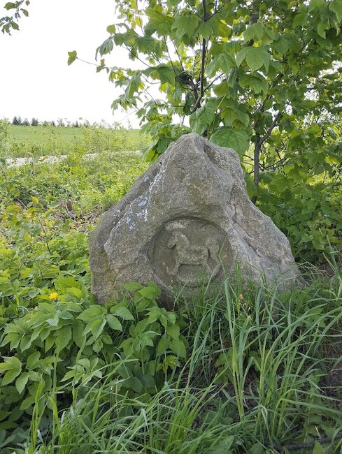 Ve stopách barokního mariánského kultu