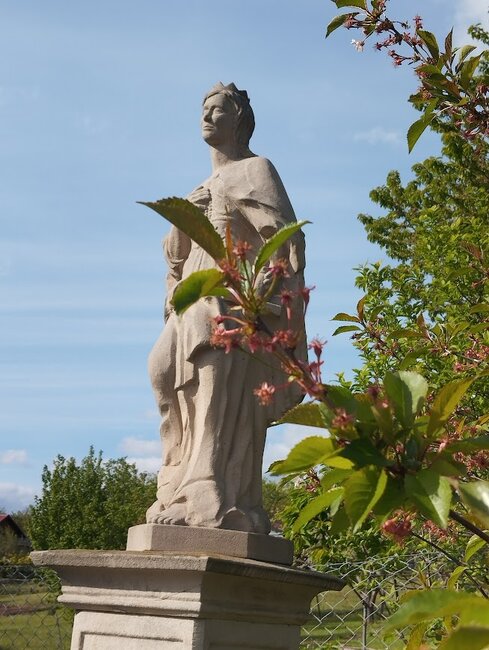 Ve stopách barokního mariánského kultu