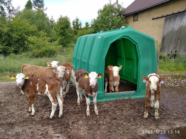 Zemědělci v Šonově investují do chovu