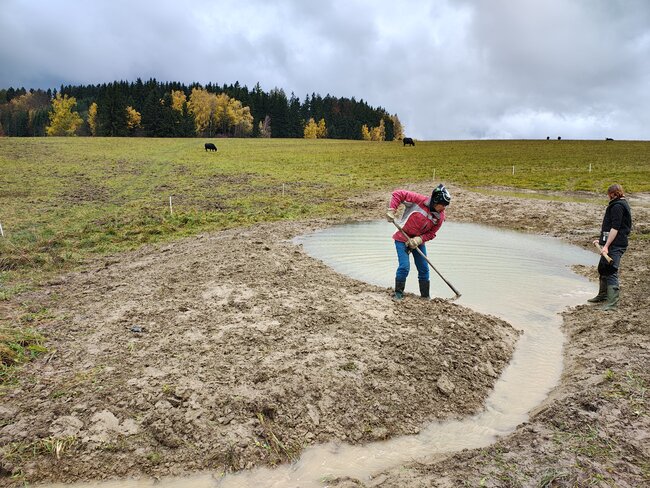 Hrnčířský potok ve Zdoňově vstává z mrtvých