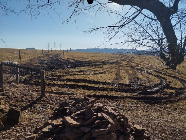 Autem až k Laudonově kapli. Hloupý nápad poškodil cestu i okolní pozemky