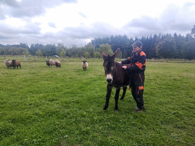 Zemědělství mě pořád baví, říká farmář Jan Bošina