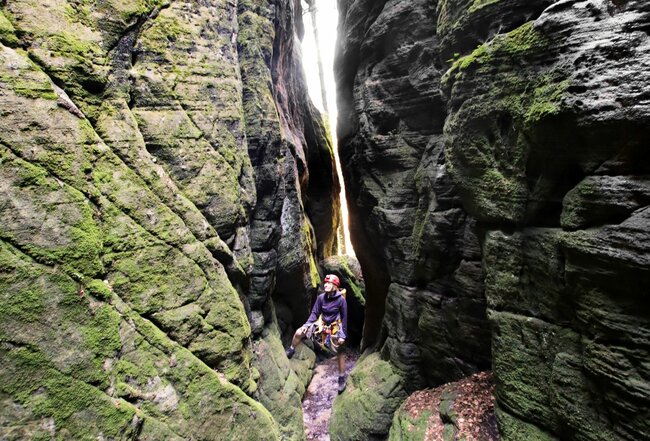 V terénu jsem častěji než profesionální ochranář