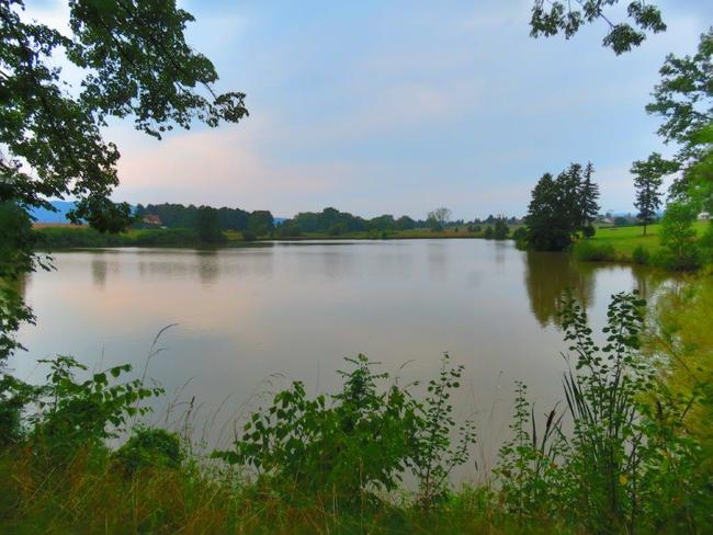 Hrozba sucha – pomůže zádrž vody v krajině? 