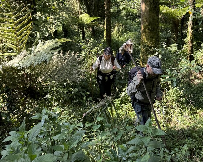 Za gorilami do deštných pralesů rovníkové Ugandy