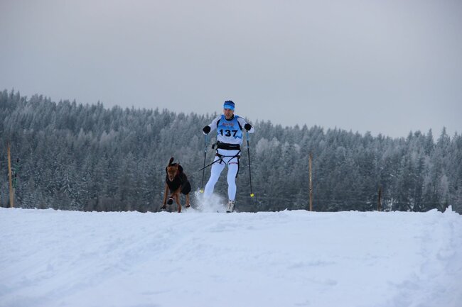Janovičky ožijí zimními závody psích spřežení