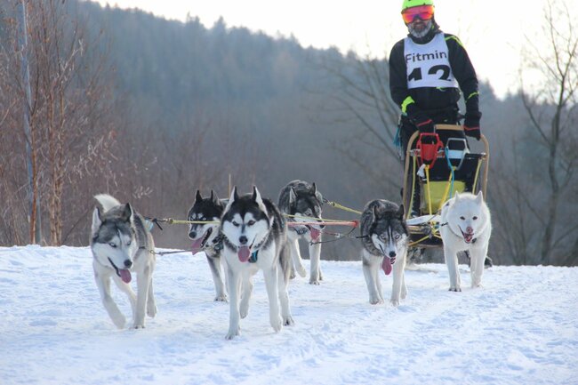 Janovičky ožijí zimními závody psích spřežení