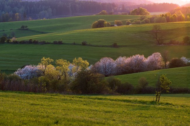 Když jde fotografie ze srdce 