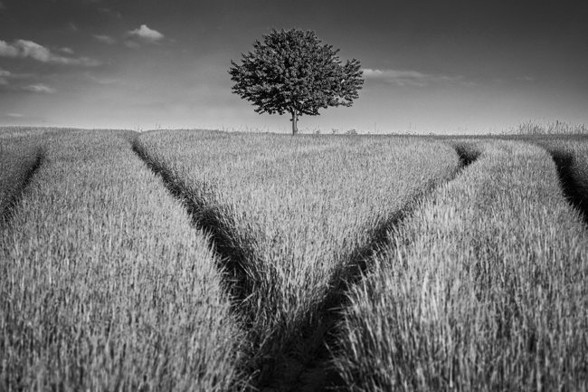 Když jde fotografie ze srdce