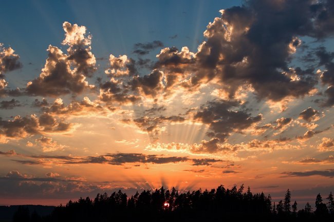 Když jde fotografie ze srdce