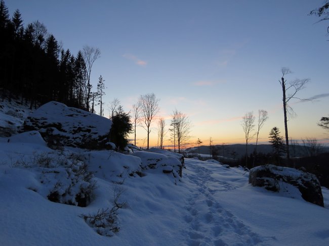Rozsah kalamity ovlivní i letošní zima