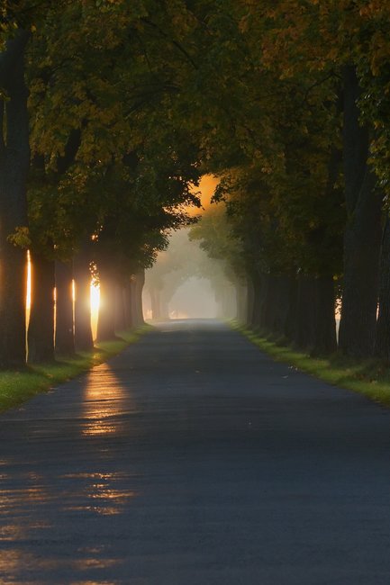 Když jde fotografie ze srdce